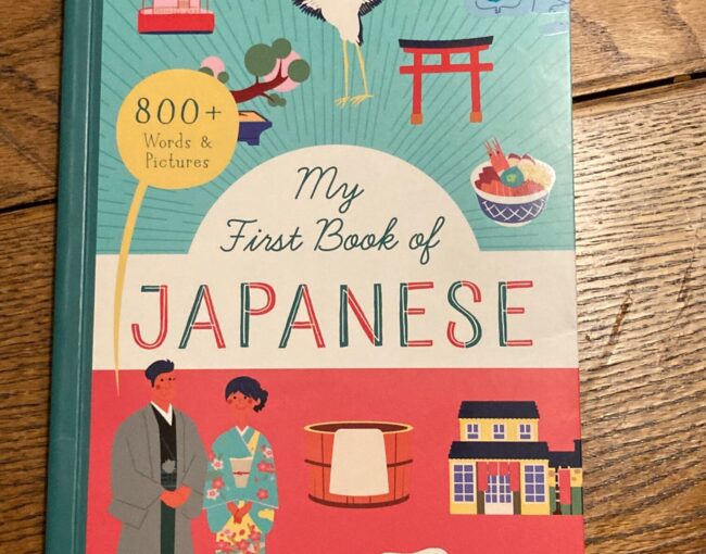 My First Book of Japanese is a vocabulary-centric way of learning blocks of the language. Its illustrations and presentation make it great for ages seven and up.