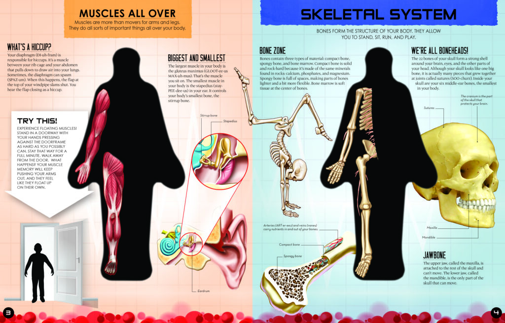 Inside Out Human Body is a reference book, but don’t tell eight-year-olds that. It’s in the Nat Geo Kids vein but is laser-focused on the body with a see-through guide on its cover.