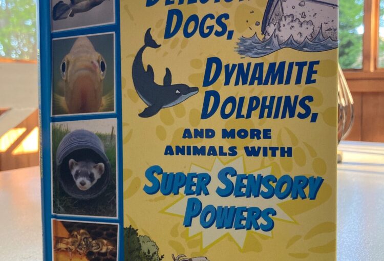 Detector Dogs, Dynamite Dolphins, and More Animals With Super Sensory Powers