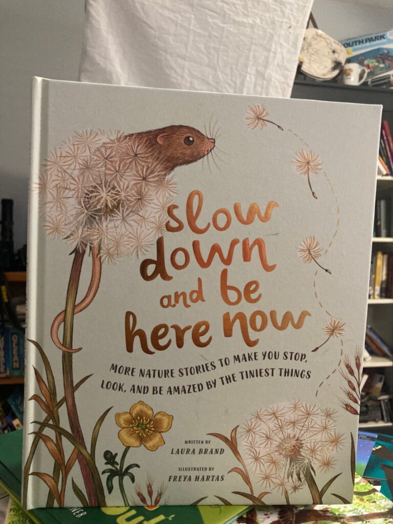 Slow Down and Be Here Now is an illustrated, leisurely look at the plants and animal STEM around us.