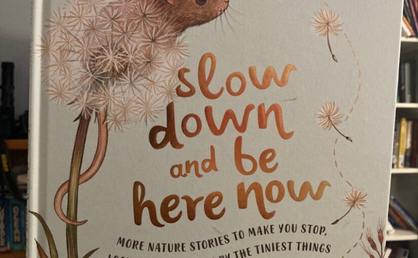 Slow Down and Be Here Now, lyrical, illustrated STEM around us