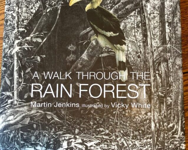 A Walk Through The Rain Forest, is flora and fauna-forest perfection