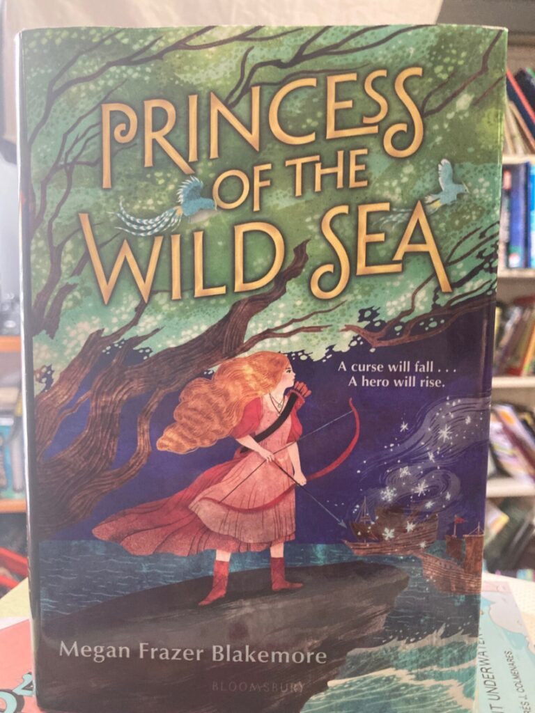 Princess of the Wild Sea is a pleasant, coming-of-age story that you’ll enjoy if this is your first book of that sort, if not, it’ll feel slow and obvious.