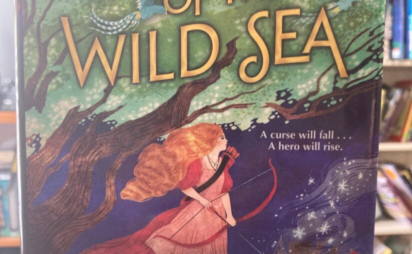 Princess of the Wild Sea,  a pleasant teen coming of age, that’s come before