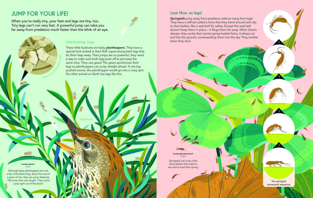 It’s Tough to be Tiny is a STEM illustrated look at small critters that make up various biomes that’ll interest kids 7-14.