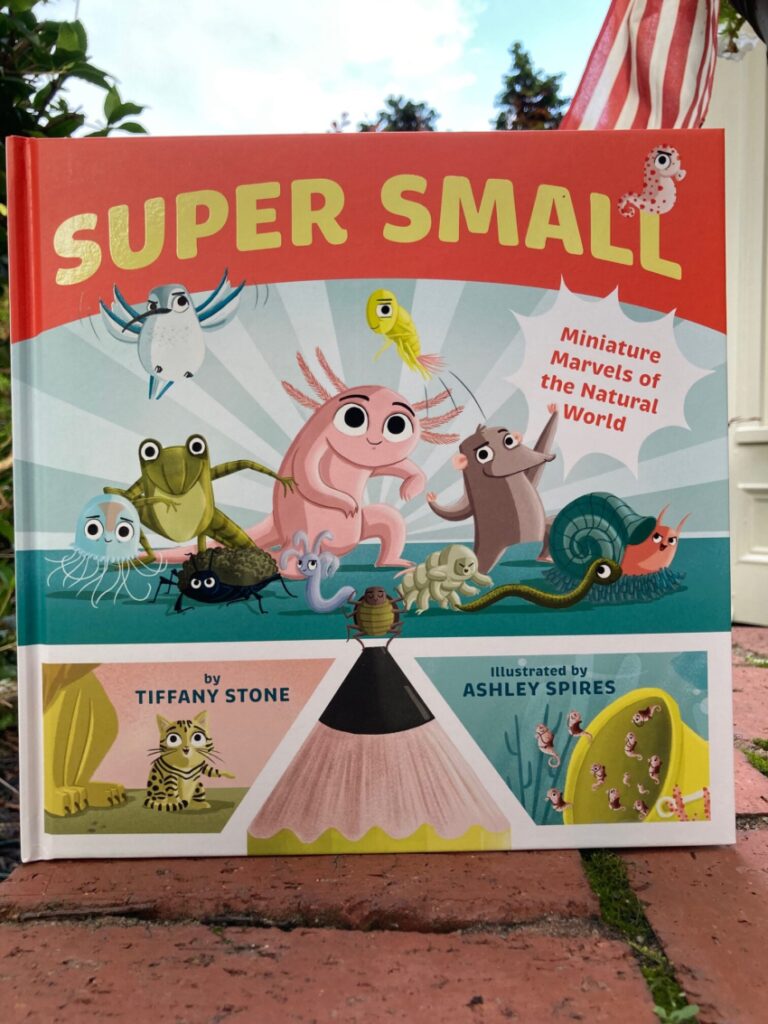 Super Small is an illustrated book that threads the need of poetry, STEM and biology in a package that both entertains and educates at a high level.