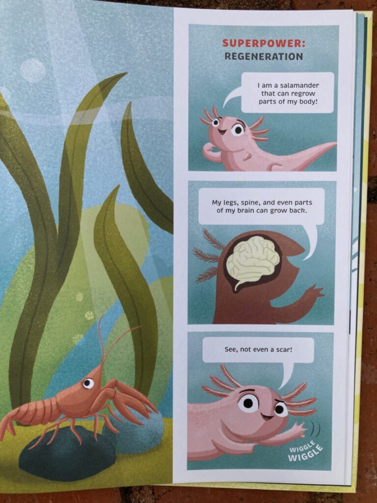 Super Small is an illustrated book that threads the need of poetry, STEM and biology in a package that both entertains and educates at a high level.