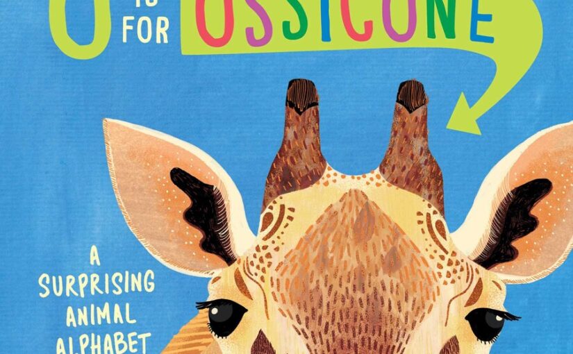 O is for Ossicone, a fun alphabet board book to plant smart STEM seeds