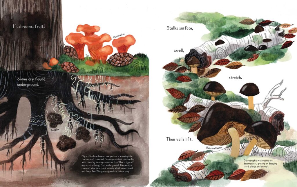 Fungi Grow sounds like a rallying cry for a dude to get larger in the garden. In reality, it’s a STEM based poetry book that melds lyricism, nature and entertainment.