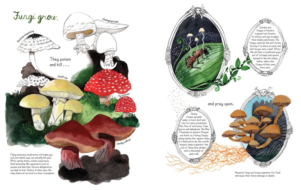 Fungi Grow sounds like a rallying cry for a dude to get larger in the garden. In reality, it’s a STEM based poetry book that melds lyricism, nature and entertainment.