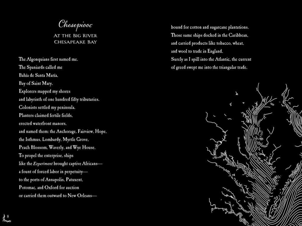 Kin: Rooted in Hope is poetry, a novel in verse experience that has non-fiction roots on various aspects of the human toll of slavery in America.