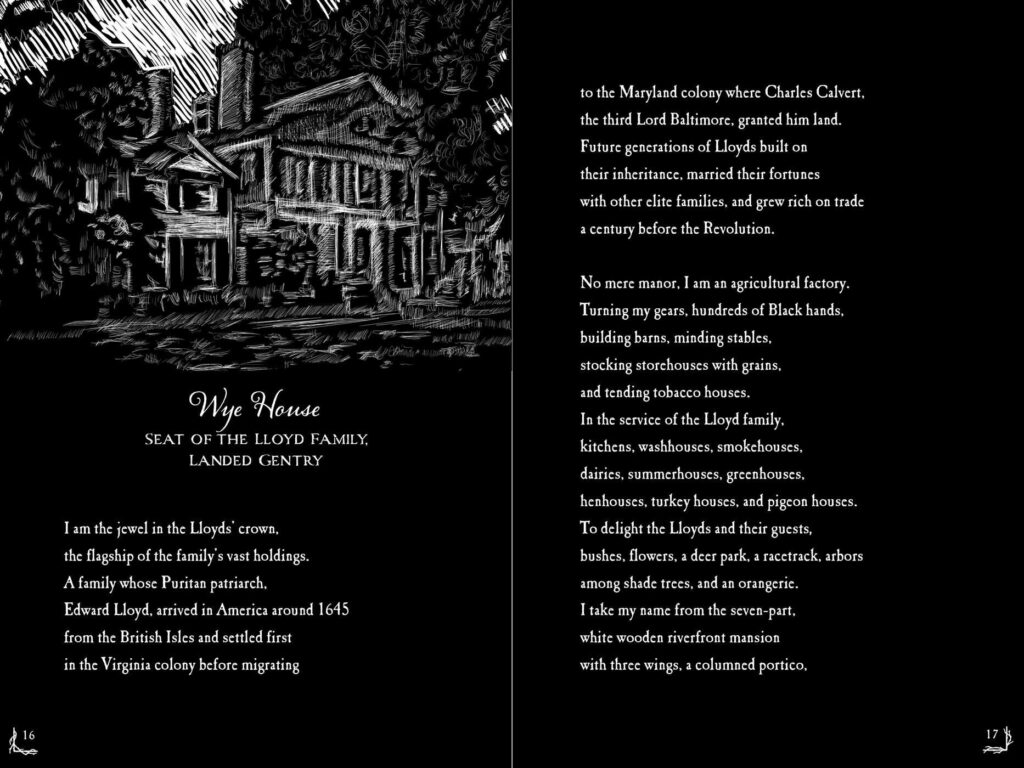 Kin: Rooted in Hope is poetry, a novel in verse experience that has non-fiction roots on various aspects of the human toll of slavery in America.