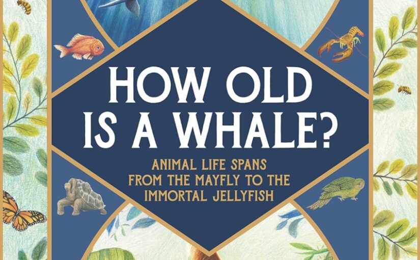 How Old Is A Whale? soft, story-driven STEM on age for those 6 and up