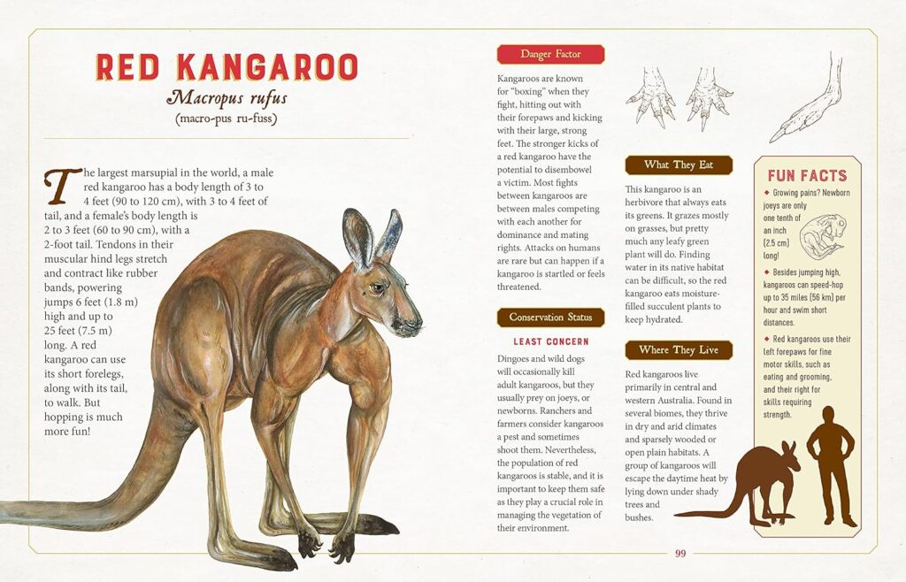 A Curious Collection of Dangerous Creatures: An Illustrated Encyclopedia is a fun, fresh take on the critters that stoke the imaginations of kids aged 8 and up.