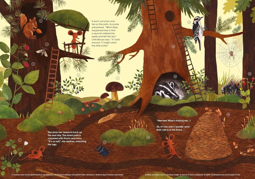 Little Mouse’s Encyclopedia is a STEM-based story picture book for elementary ages about the wonders that exist in the dirt around us.