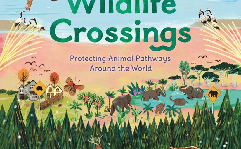 Wildlife Crossings-nature born STEM gets kids thinking without realizing it