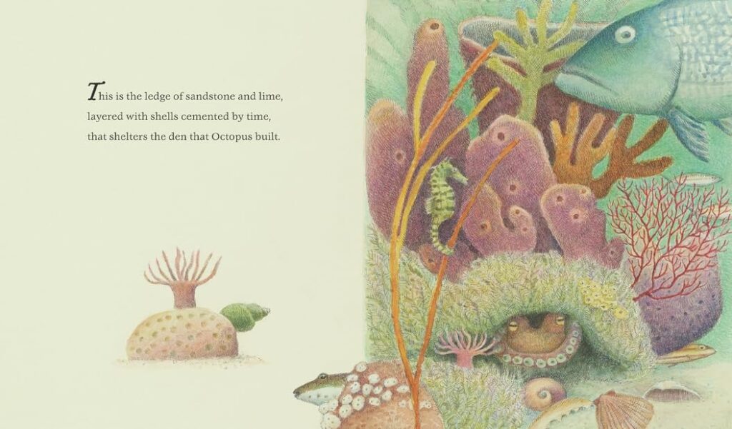 The Den That Octopus Built is a poetic illustrated book that sucks young readers in with its eight tentacles of knowledge and fun and doesn’t let go.