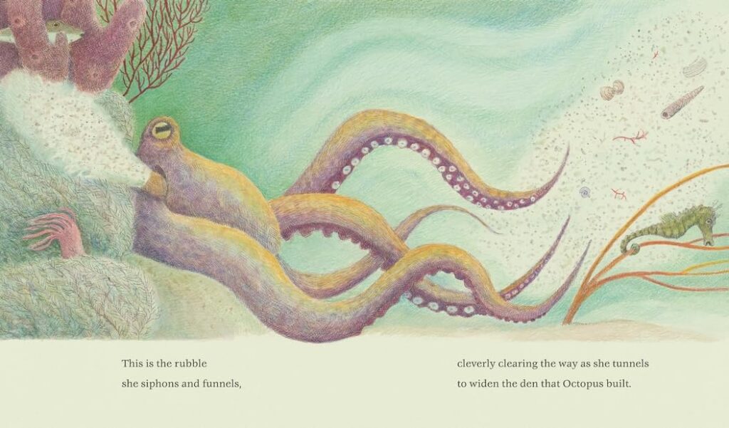 The Den That Octopus Built is a poetic illustrated book that sucks young readers in with its eight tentacles of knowledge and fun and doesn’t let go.