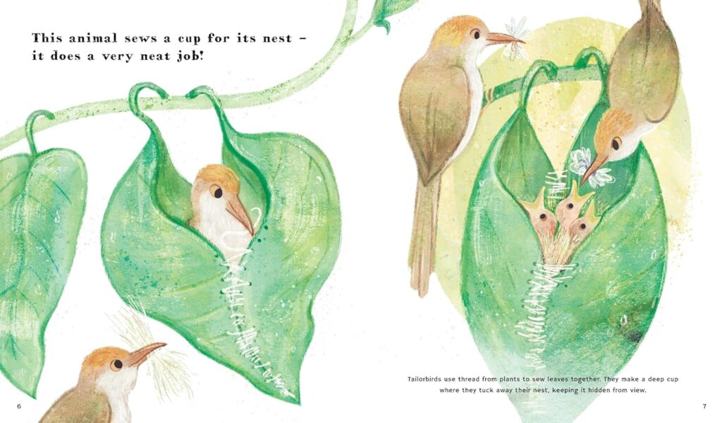 Find Out About: Animal Tools is a gentle illustrated book that leads with illustrations and drives home the non-fiction with short scenes of animals using tools that get’s kids to think.