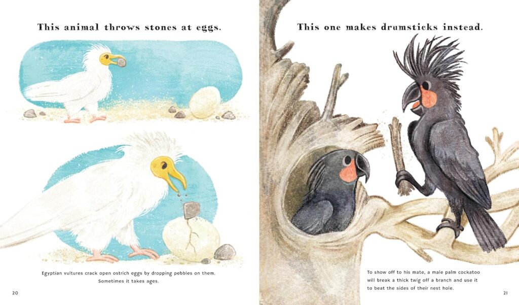 Find Out About: Animal Tools is a gentle illustrated book that leads with illustrations and drives home the non-fiction with short scenes of animals using tools that get’s kids to think.