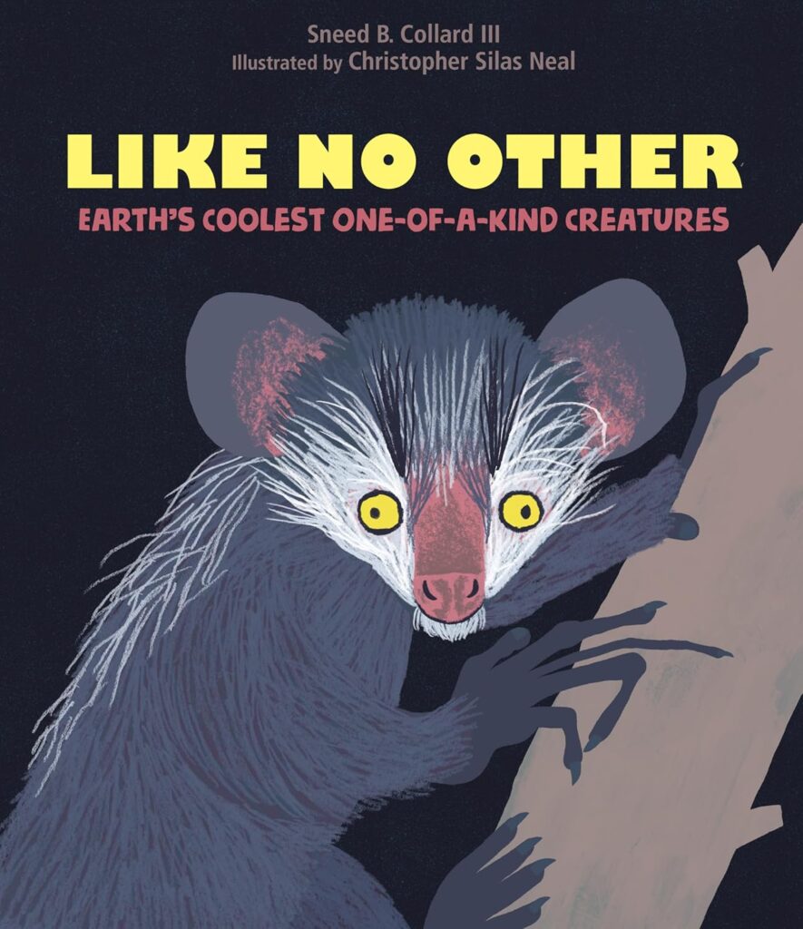 Like No Other, an illustrated book on strange animals who are the last ones in their family tree uses art and oddity to succeed.